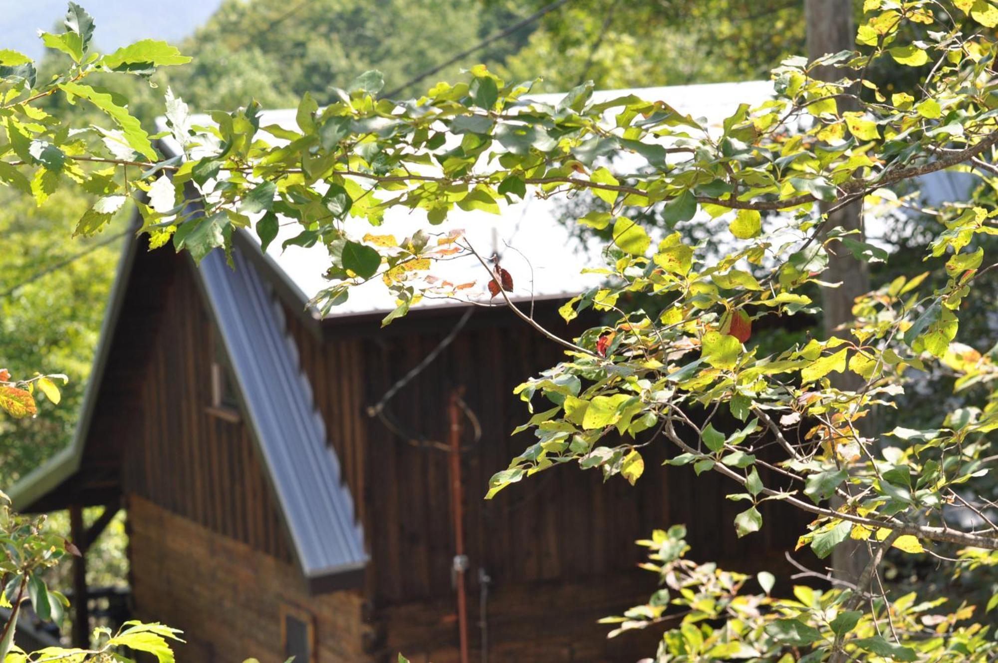 Bears Among Us Villa Gatlinburg Exterior photo